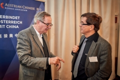 Chinas-Bosse-Hirn-21